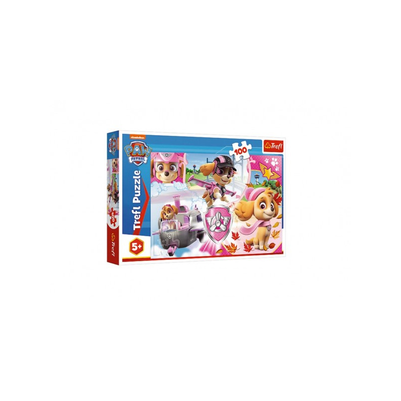 Puzzle Paw Patrol / Tlapková patrola Skye v akcii 41x27,5cm 100 dielikov v krabici 29x19x4cm