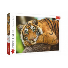 Puzzle Portrét tigra 500 dielikov 48x34cm v krabici 40x27x4,5cm