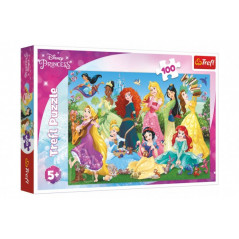 Puzzle Pôvabné princeznej / Disney 100 dielikov 41x27,5cm v krabici 29x19x4cm