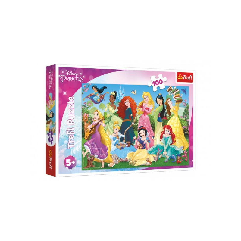 Puzzle Pôvabné princeznej / Disney 100 dielikov 41x27,5cm v krabici 29x19x4cm