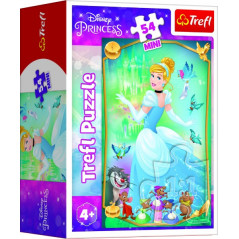 Minipuzzle Krásne princezné/Disney Princess 54dielikov 4 druhy v krabičke 6x9x4cm 40ks v boxe