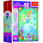 Minipuzzle Krásne princezné/Disney Princess 54dielikov 4 druhy v krabičke 6x9x4cm 40ks v boxe