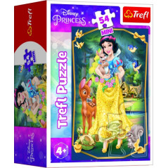 Minipuzzle Krásne princezné/Disney Princess 54dielikov 4 druhy v krabičke 6x9x4cm 40ks v boxe