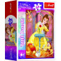 Minipuzzle Krásne princezné/Disney Princess 54dielikov 4 druhy v krabičke 6x9x4cm 40ks v boxe