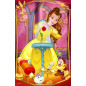 Minipuzzle Krásne princezné/Disney Princess 54dielikov 4 druhy v krabičke 6x9x4cm 40ks v boxe