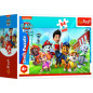 Minipuzzle 54 dielikov Paw Patrol/Tlapková Patrola 4 druhy v krabičke 9x6x3cm 40ks v boxe