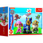 Minipuzzle 54 dielikov Paw Patrol/Tlapková Patrola 4 druhy v krabičke 9x6x3cm 40ks v boxe