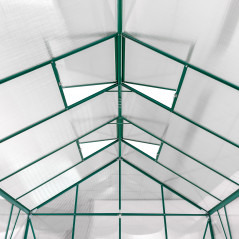 Záhradný skleník Den Haag, 308x252x227 cm, 4 mm