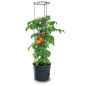 Kvetináč Prosperplast TOMATO GROWER na pestovanie paradajok 39,2 cm antracit