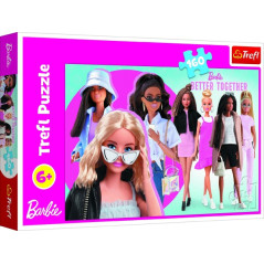 Puzzle Barbie a jej svet 41x27, 5cm 160 dielikov v krabici 29x19x4cm