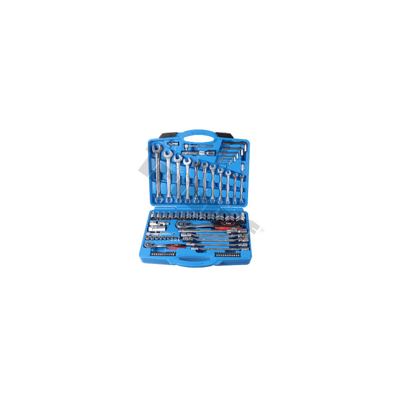 Gola sada 1/2" a 1/4", 6-hran, 77 dielov