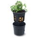 Kvetináč na pestovanie zemiakov 39,2 cm Potato Grower