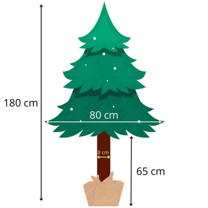 Vianočný stromček Borovica prírodná na kmienku 180 cm Vianočný stromček Borovica prírodná na kmienku 180 cm
