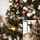 Vianočný stromček Smrek kaukazský 120 cm