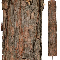 Vianočný stromček Borovica zasnežená na kmienku 220 cm