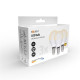 LED žiarovka E14, 6 W, 3000 K, 450 lm, miniglobe, 3 ks