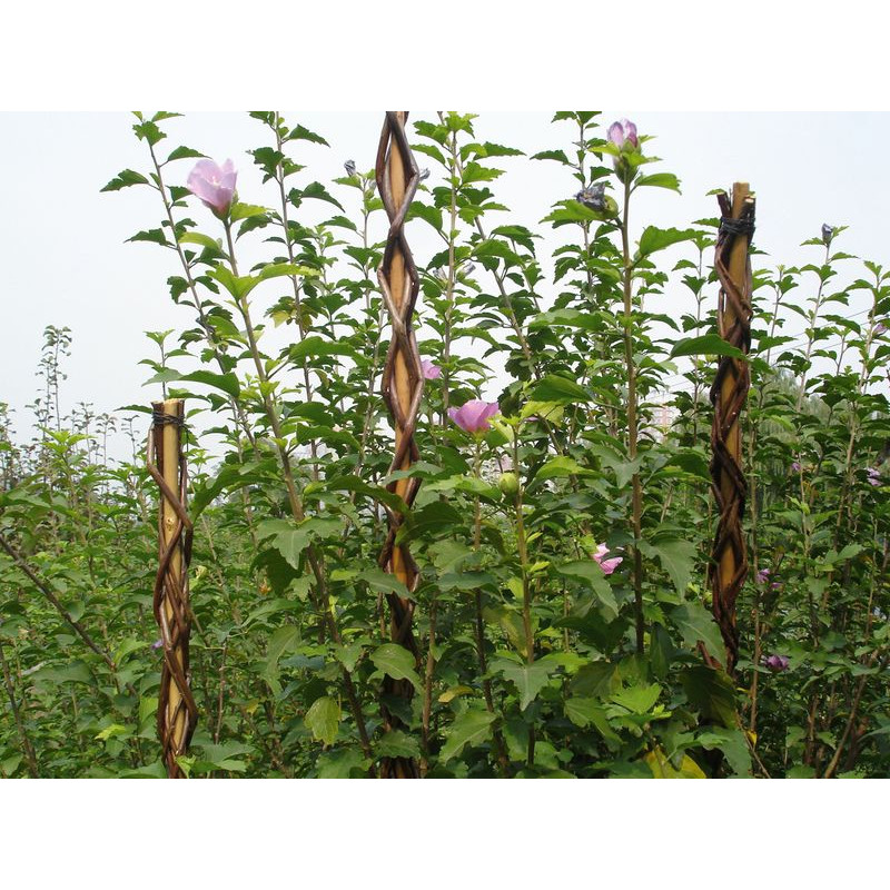 Oporná tyč pre rastliny 190 cm Garden Willow prútená