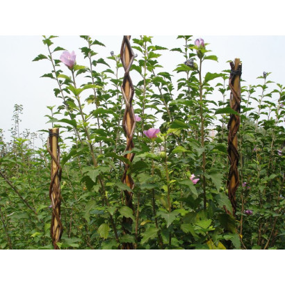 Oporná tyč pre rastliny 190 cm Garden Willow prútená