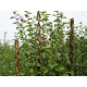 Oporná tyč pre rastliny 190 cm Garden Willow prútená