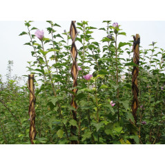 Oporná tyč pre rastliny 130 cm Garden Willow prútená