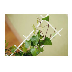 Plastová podpera pre rastliny 56 cm Drab, hnedá