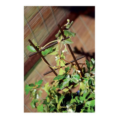 Plastová podpera pre rastliny 56 cm Drab, hnedá