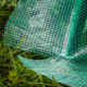 Fóliovník 5qm 250x200x215 cm (R)